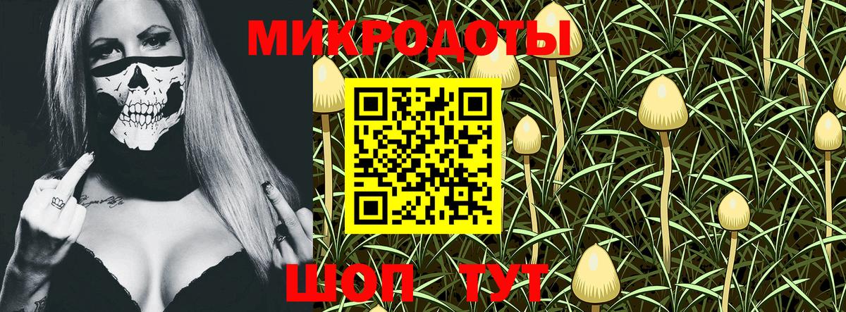 Псилоцибиновые грибы ЛСД  Вход с VPN  Гусиноозёрск 